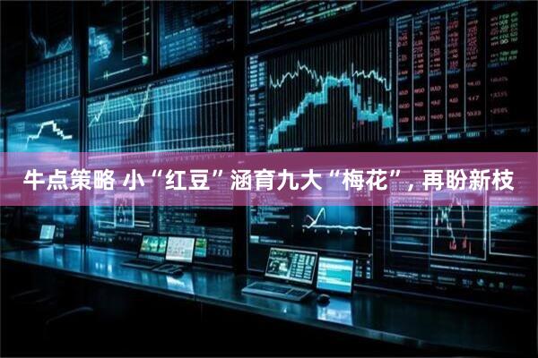 牛点策略 小“红豆”涵育九大“梅花”, 再盼新枝