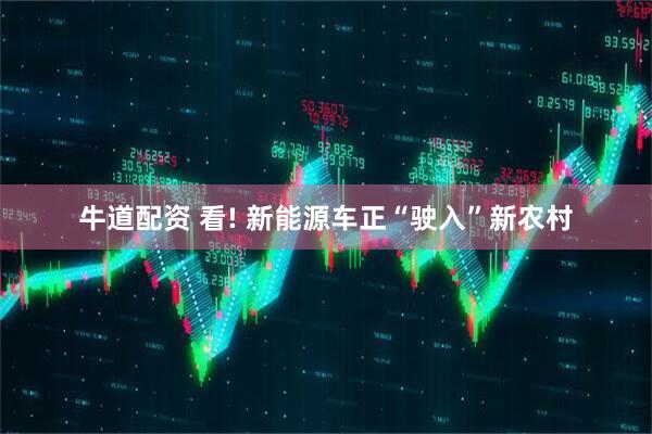 牛道配资 看! 新能源车正“驶入”新农村