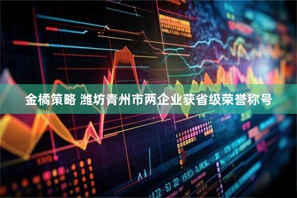 金橘策略 潍坊青州市两企业获省级荣誉称号