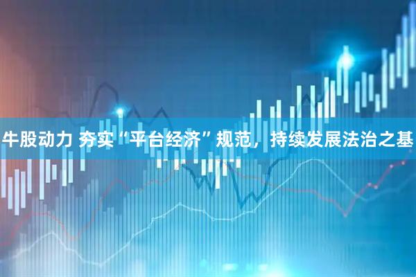 牛股动力 夯实“平台经济”规范，持续发展法治之基